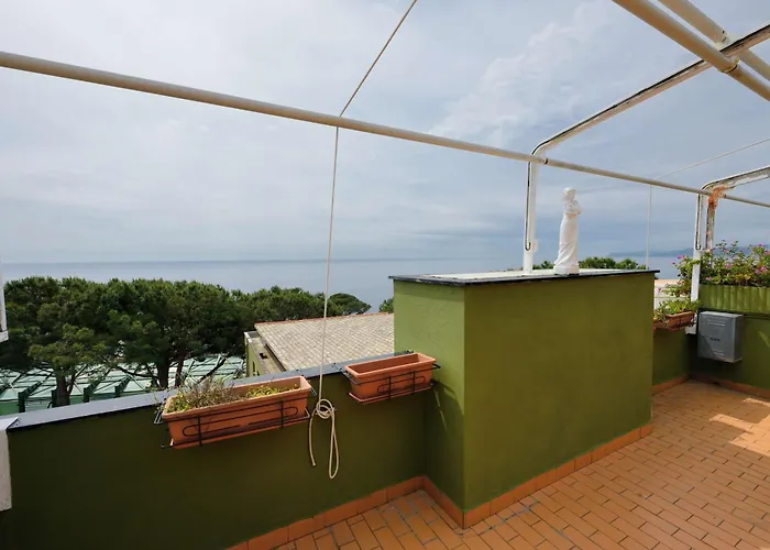 Terrazzasolemare Mimosa