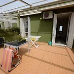 Terrazzasolemare Mimosa