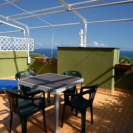 Terrazzasolemare Mimosa *