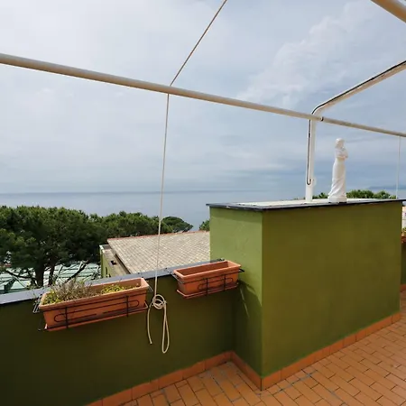 Terrazzasolemare Mimosa