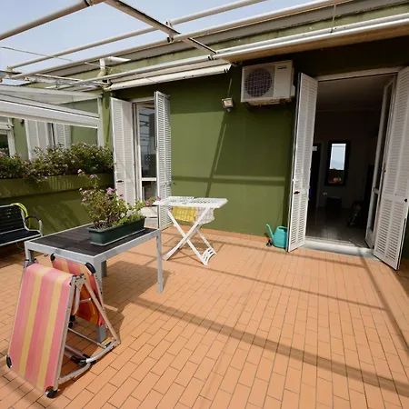 Terrazzasolemare Mimosa