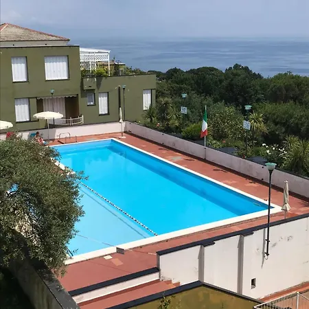 Terrazzasolemare Mimosa