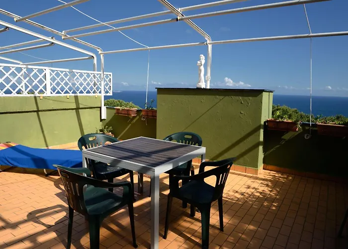 Terrazzasolemare Mimosa *